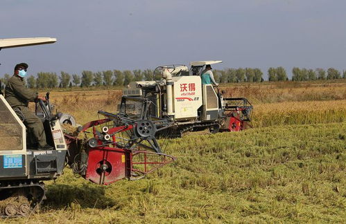 推廣農(nóng)業(yè)機械化技術(shù)對農(nóng)業(yè)可持續(xù)發(fā)展的作用