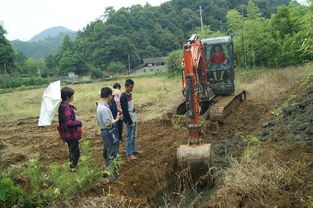 順昌縣農(nóng)業(yè)局水產(chǎn)技術(shù)推廣站深入仁壽鎮(zhèn)余塘村指導(dǎo)田間工程改造，助推稻田養(yǎng)魚項目發(fā)展