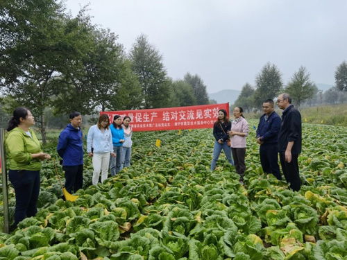 以試驗促進高效生產(chǎn)，以科技助力生態(tài)農(nóng)業(yè)——省農(nóng)業(yè)技術推廣總站的實踐與探索